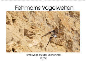 Fehmarn Vogelwelten (Wandkalender 2022 DIN A2 quer) von Ströder,  Holger