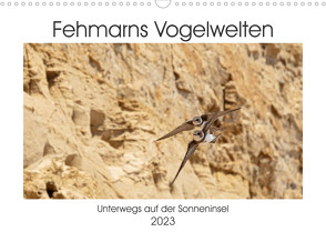 Fehmarn Vogelwelten (Wandkalender 2023 DIN A3 quer) von Ströder,  Holger