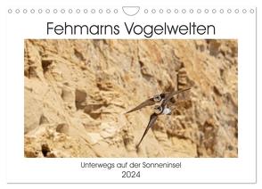 Fehmarn Vogelwelten (Wandkalender 2024 DIN A4 quer), CALVENDO Monatskalender von Ströder,  Holger