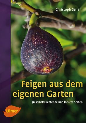 Feigen aus dem eigenen Garten von Seiler,  Christoph