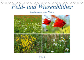 Feld- und Wiesenblüher Schützenswerte Natur (Tischkalender 2023 DIN A5 quer) von Marten,  Martina