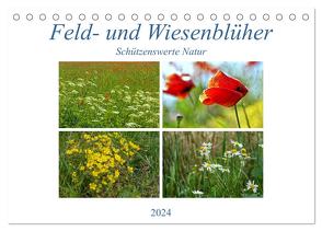 Feld- und Wiesenblüher Schützenswerte Natur (Tischkalender 2024 DIN A5 quer), CALVENDO Monatskalender von Marten,  Martina