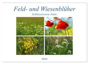 Feld- und Wiesenblüher Schützenswerte Natur (Wandkalender 2024 DIN A2 quer), CALVENDO Monatskalender von Marten,  Martina