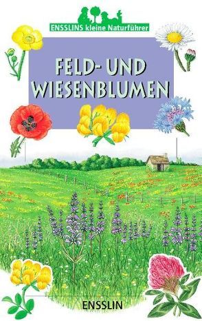 Feld- und Wiesenblumen von Bustarret,  Nicole, Schittenhelm,  Elisabeth