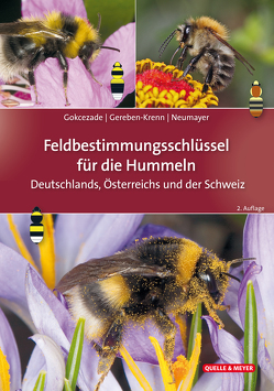 Feldbestimmungsschlüssel für die Hummeln Deutschlands, Österreichs und der Schweiz von Gereben-Krenn,  Barbara-Amina, Gokcezade,  Joseph, Neumayer,  Johann