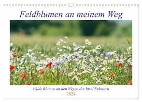 Feldblumen an meinem Weg (Wandkalender 2024 DIN A3 quer), CALVENDO Monatskalender von Kaminski,  Ida