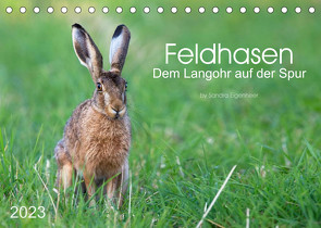 Feldhasen – dem Langohr auf der Spur (Tischkalender 2023 DIN A5 quer) von Eigenheer,  Sandra