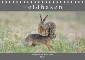 Feldhasen (Tischkalender 2019 DIN A5 quer) von Trunk,  Alfred