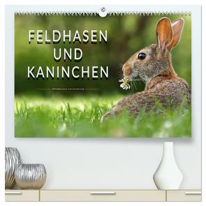 Feldhasen und Kaninchen (hochwertiger Premium Wandkalender 2024 DIN A2 quer), Kunstdruck in Hochglanz von Roder,  Peter