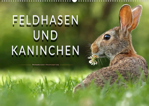 Feldhasen und Kaninchen (Wandkalender 2023 DIN A2 quer) von Roder,  Peter