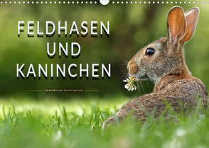 Feldhasen und Kaninchen (Wandkalender 2023 DIN A3 quer) von Roder,  Peter