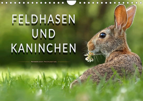 Feldhasen und Kaninchen (Wandkalender 2023 DIN A4 quer) von Roder,  Peter