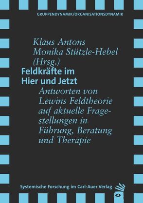 Feldkräfte im Hier und Jetzt von Antons,  Klaus, Stützle-Hebel,  Monika
