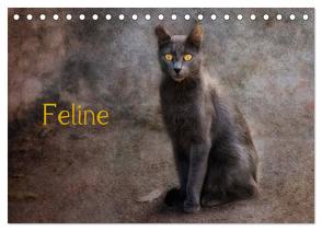 Feline (Tischkalender 2024 DIN A5 quer), CALVENDO Monatskalender von Möckel / Lucy L!u,  Claudia