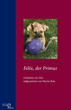 Felix, der Primus von Bolz,  Martin