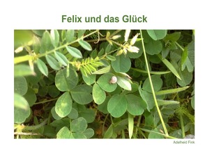 Felix und das Glück von Fink,  Adelheid