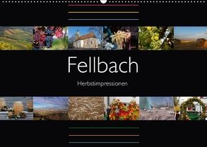 Fellbach Herbstimpressionen (Wandkalender 2018 DIN A2 quer) von Eisold,  Hanns-Peter