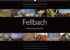 Fellbach Herbstimpressionen (Wandkalender 2019 DIN A2 quer) von Eisold,  Hanns-Peter