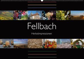 Fellbach Herbstimpressionen (Wandkalender 2019 DIN A2 quer) von Eisold,  Hanns-Peter