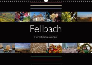 Fellbach Herbstimpressionen (Wandkalender 2019 DIN A3 quer) von Eisold,  Hanns-Peter