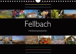 Fellbach Herbstimpressionen (Wandkalender 2019 DIN A4 quer) von Eisold,  Hanns-Peter