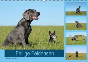 Fellige Feldnasen (Wandkalender 2018 DIN A2 quer) von Hultsch,  Heike