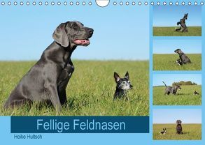 Fellige Feldnasen (Wandkalender 2018 DIN A4 quer) von Hultsch,  Heike