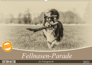 Fellnasen-Parade im Vintagelook (Wandkalender 2021 DIN A2 quer) von Teßen,  Sonja