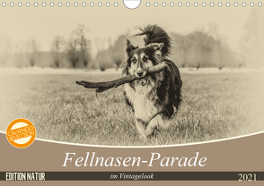 Fellnasen-Parade im Vintagelook (Wandkalender 2021 DIN A4 quer) von Teßen,  Sonja