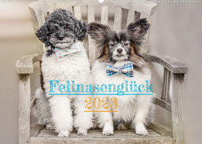 Fellnasenglück (Wandkalender immerwährend DIN A2 quer) von - fotos,  boegau