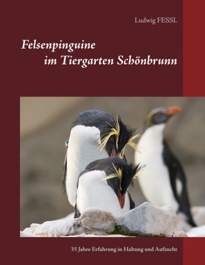 Felsenpinguine im Tiergarten Schönbrunn von Fessl,  Ludwig