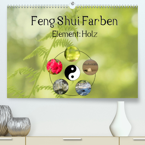 Feng Shui Farben – Element: Holz (Premium, hochwertiger DIN A2 Wandkalender 2022, Kunstdruck in Hochglanz) von Teßen,  Sonja