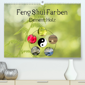 Feng Shui Farben – Element: Holz (Premium, hochwertiger DIN A2 Wandkalender 2023, Kunstdruck in Hochglanz) von Teßen,  Sonja