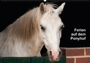 Ferien auf dem Ponyhof (Wandkalender immerwährend DIN A2 quer) von Knappmann,  Britta