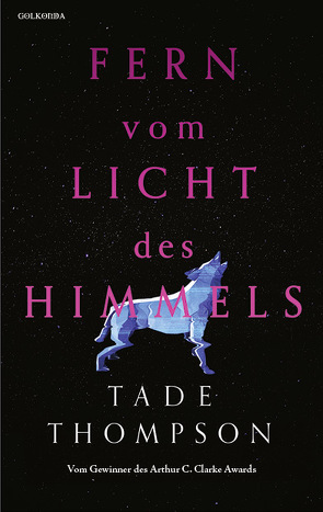 Fern vom Licht des Himmels von Schmidt,  Jakob, Thompson,  Tade