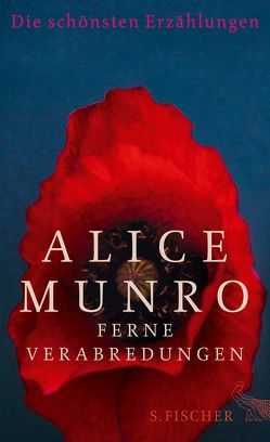 Ferne Verabredungen von Munro,  Alice, Reichart,  Manuela, Zerning,  Heidi