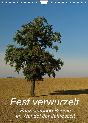Fest verwurzelt – Faszinierende Bäume im Wandel der Jahreszeit (Wandkalender 2022 DIN A4 hoch) von Brigitte Deus-Neumann,  Dr.