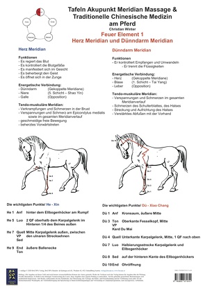 Feuer Element 1. Herz und Dünndarm Meridian. von Winter,  Christian