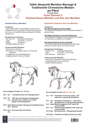 Feuer Element 2. Kreislauf-Sexus und San Jiao Meridian. von Winter,  Christian