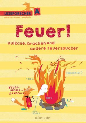 Feuer! Vulkane, Drachen und andere Feuerspucker von Dürr,  Julia, Köller,  Kathrin