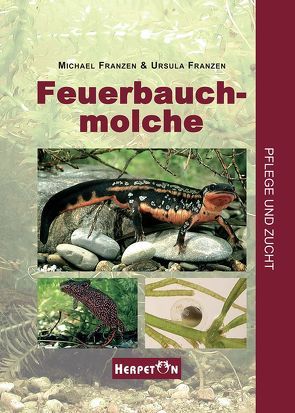 Feuerbauchmolche von Franzen,  Michael, Franzen,  Ursula