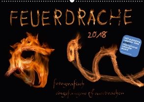 Feuerdrache (Wandkalender 2018 DIN A2 quer) von v.Kleist,  Kamran