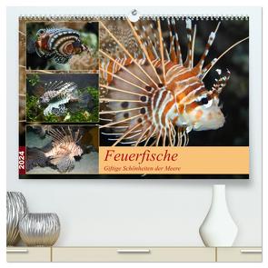 Feuerfische – Giftige Schönheiten der Meere (hochwertiger Premium Wandkalender 2024 DIN A2 quer), Kunstdruck in Hochglanz von Mielewczyk,  B.