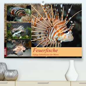 Feuerfische – Giftige Schönheiten der Meere (Premium, hochwertiger DIN A2 Wandkalender 2023, Kunstdruck in Hochglanz) von Mielewczyk,  B.