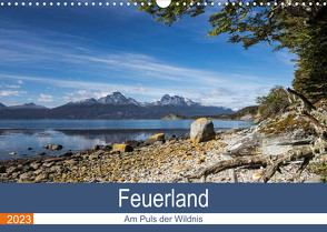 Feuerland – Am Puls der Wildnis (Wandkalender 2023 DIN A3 quer) von Neetze,  Akrema-Photography