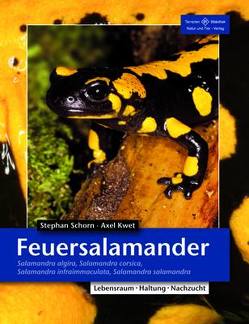 Feuersalamander von Kwet,  Axel, Schorn,  Stefan