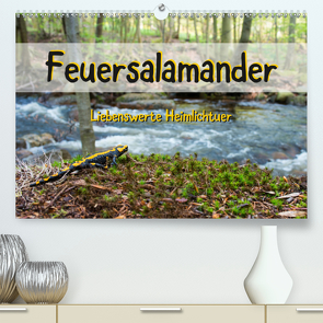 Feuersalamander – Liebenswerte Heimlichtuer (Premium, hochwertiger DIN A2 Wandkalender 2021, Kunstdruck in Hochglanz) von Vahldiek,  Carola