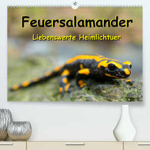 Feuersalamander – Liebenswerte Heimlichtuer (Premium, hochwertiger DIN A2 Wandkalender 2022, Kunstdruck in Hochglanz) von Vahldiek,  Carola