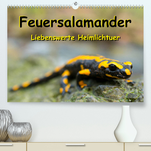 Feuersalamander – Liebenswerte Heimlichtuer (Premium, hochwertiger DIN A2 Wandkalender 2023, Kunstdruck in Hochglanz) von Vahldiek,  Carola