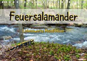 Feuersalamander – Liebenswerte Heimlichtuer (Tischkalender 2021 DIN A5 quer) von Vahldiek,  Carola